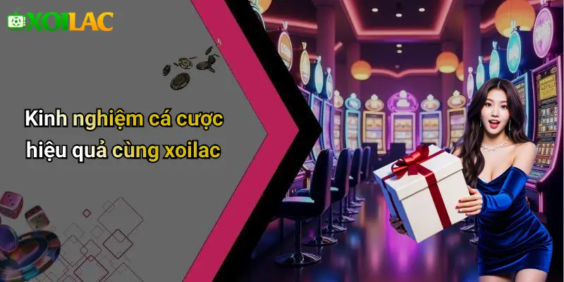 Kinh nghiệm cá cược hiệu quả cùng xoilac