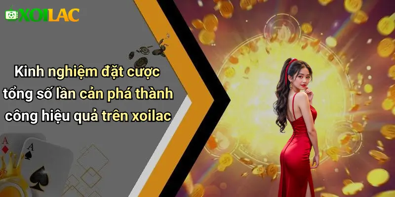 Kinh nghiệm đặt cược tổng số lần cản phá thành công hiệu quả trên xoilac