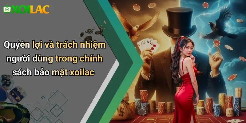 Quyền lợi và trách nhiệm người dùng trong chính sách bảo mật xoilac