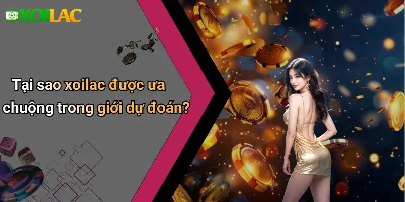 Tại sao xoilac được ưa chuộng trong giới dự đoán?