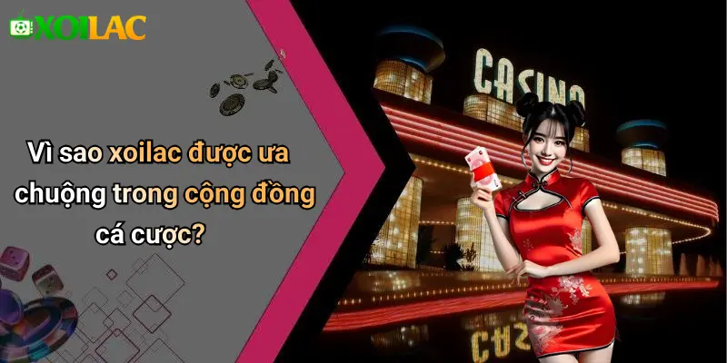 Vì sao xoilac được ưa chuộng trong cộng đồng cá cược?