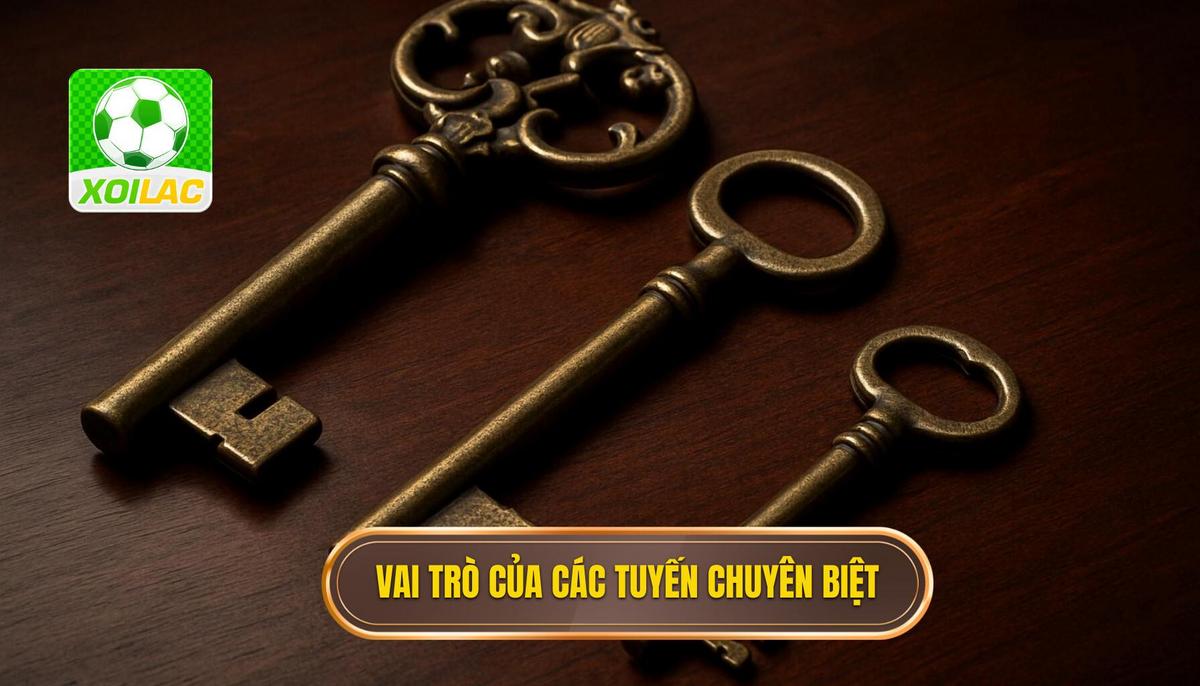 Vai trò chuyên biệt của từng tuyến