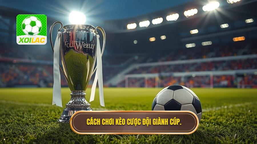 Kèo cược đội giành cúp bạc là gì?