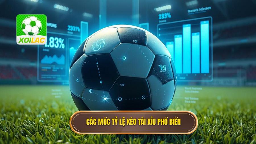 Các mốc tỷ lệ phổ biến trong kèo bóng đá tài xỉu