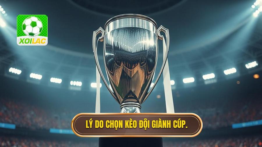 Tại sao nên ưu tiên chọn kèo cược đội giành cúp bạc?