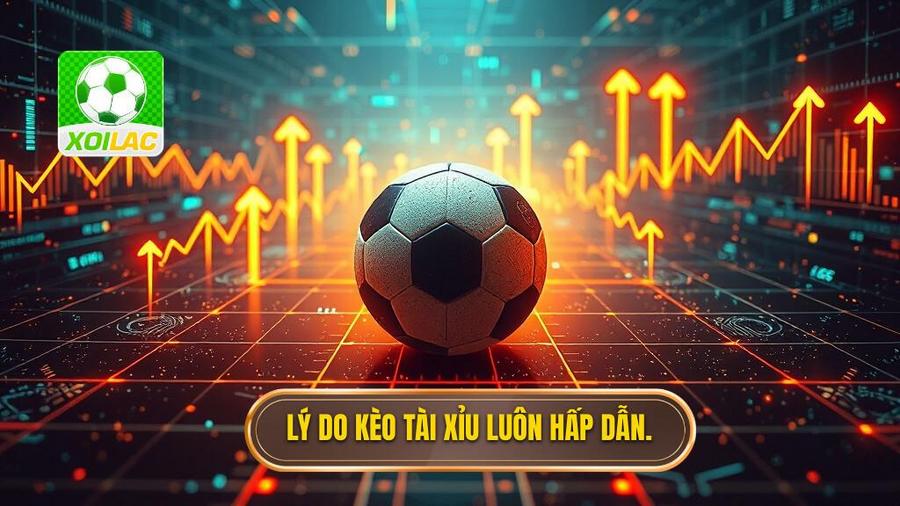 Phân tích đa chiều: Tại sao kèo bóng đá tài xỉu lại thu hút?