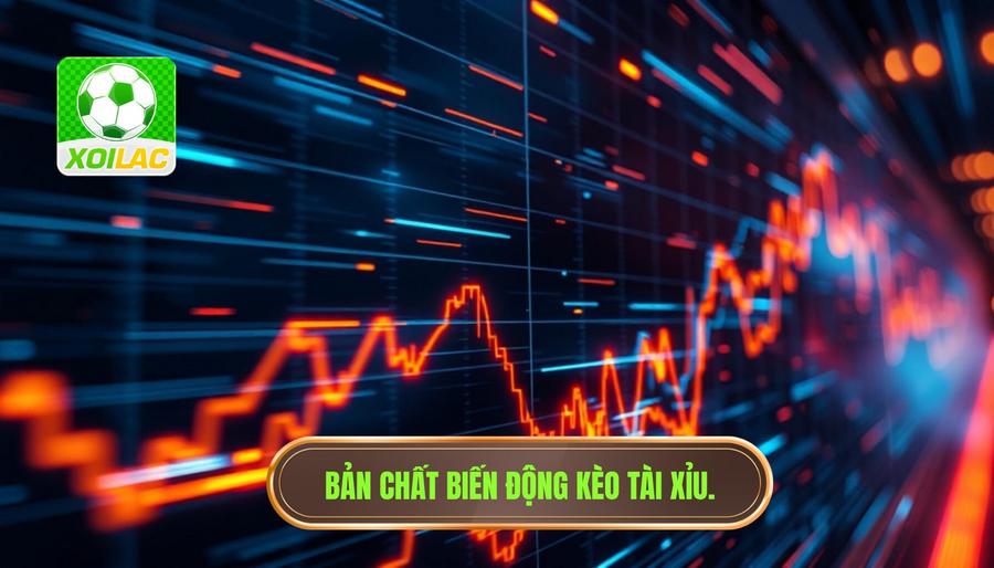 Bản chất của sự biến động kèo Tài Xỉu