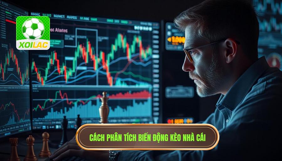Phân tích chiến thuật của nhà cái qua sự biến động kèo
