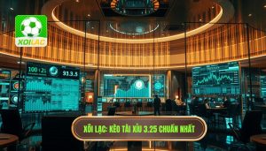 Kèo tài xỉu 3.25 có ý nghĩa gì? Cách đọc kèo 3 1/4 chuẩn xác