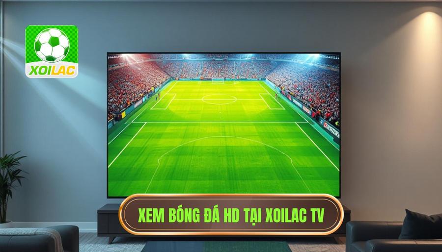 Tại sao Xoilac xem bóng đá HD lại trở thành lựa chọn số 1?