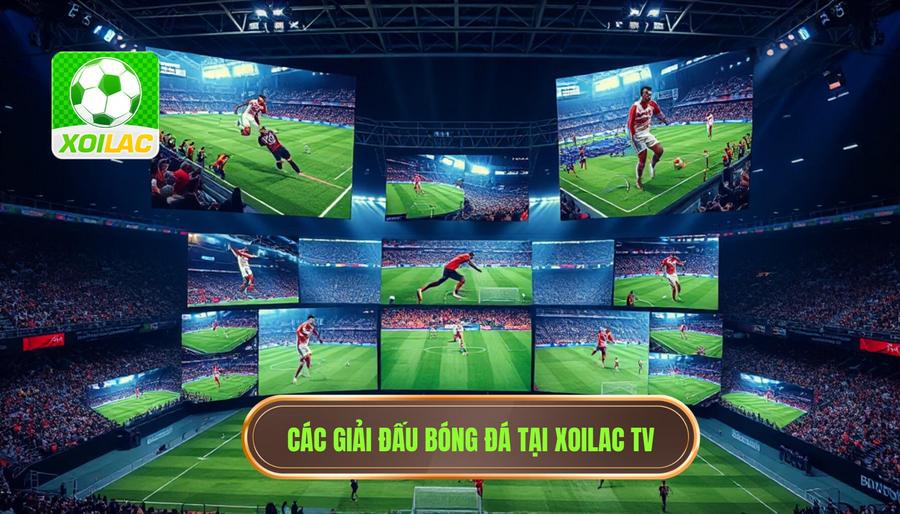 Đa dạng các giải đấu tại Xoilac xem bóng đá HD