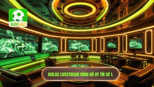 Xoilac Livestream Bóng Đá Trực Tiếp Chất Lượng 4K Không Quảng Cáo