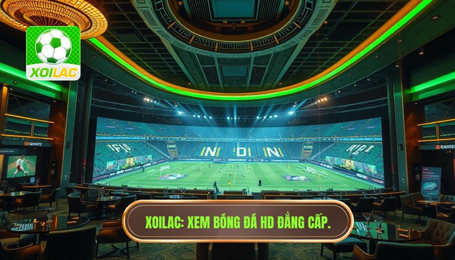 Xoilac Xem Bóng Đá HD - Link Trực Tiếp Bóng Đá Chất Lượng Cao
